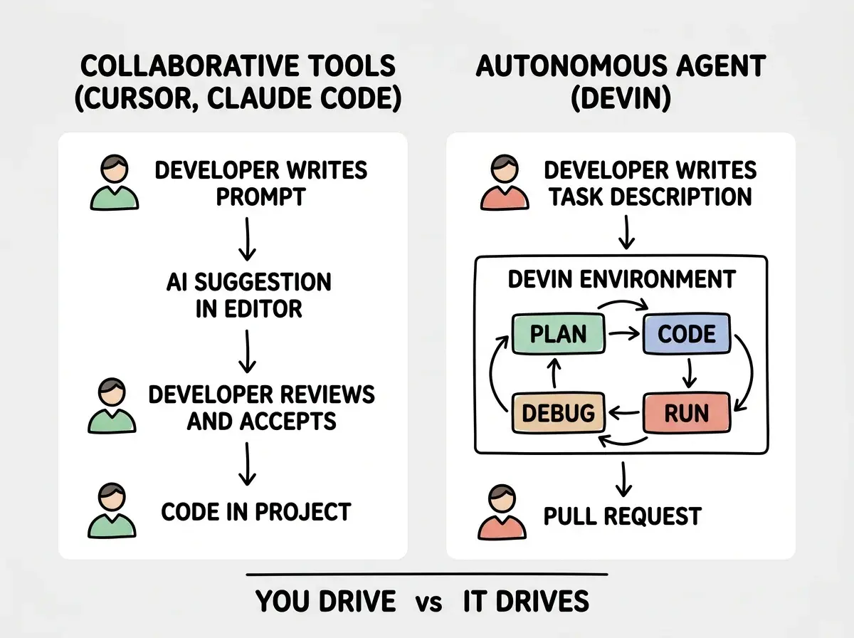 EXPLAINER DIAGRAM: A two-column comparison on white background. Left column headed COLLABORATIVE TOOLS (Cursor, Claude Code) shows a simple flow: DEVELOPER writes prompt, arrow to AI SUGGESTION in editor, arrow to DEVELOPER reviews and accepts, arrow to CODE IN PROJECT. The developer icon appears at every step, indicating constant human presence. Right column headed AUTONOMOUS AGENT (Devin) shows a different flow: DEVELOPER writes task description, arrow to DEVIN ENVIRONMENT containing four connected boxes in a cycle labeled PLAN, CODE, RUN, DEBUG with circular arrows between them, then a final arrow out to PULL REQUEST. The developer icon only appears at the first and last step, indicating hands-off execution. A horizontal divider at the bottom reads YOU DRIVE vs IT DRIVES.