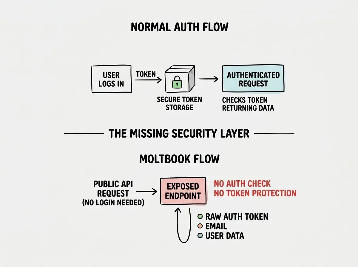 EXPLAINER DIAGRAM: A vertical flow showing how the Moltbook API leak worked. Top section labeled NORMAL AUTH FLOW shows three boxes connected by arrows: USER LOGS IN sends a token to SECURE TOKEN STORAGE (shown as a locked box), then AUTHENTICATED REQUEST checks the token before returning data. Bottom section labeled MOLTBOOK FLOW shows: PUBLIC API REQUEST (no login needed) points directly to EXPOSED ENDPOINT which returns a response containing the raw auth token, email, and user data. A red warning label reads NO AUTH CHECK and NO TOKEN PROTECTION. Between the two flows, a dividing line reads THE MISSING SECURITY LAYER.